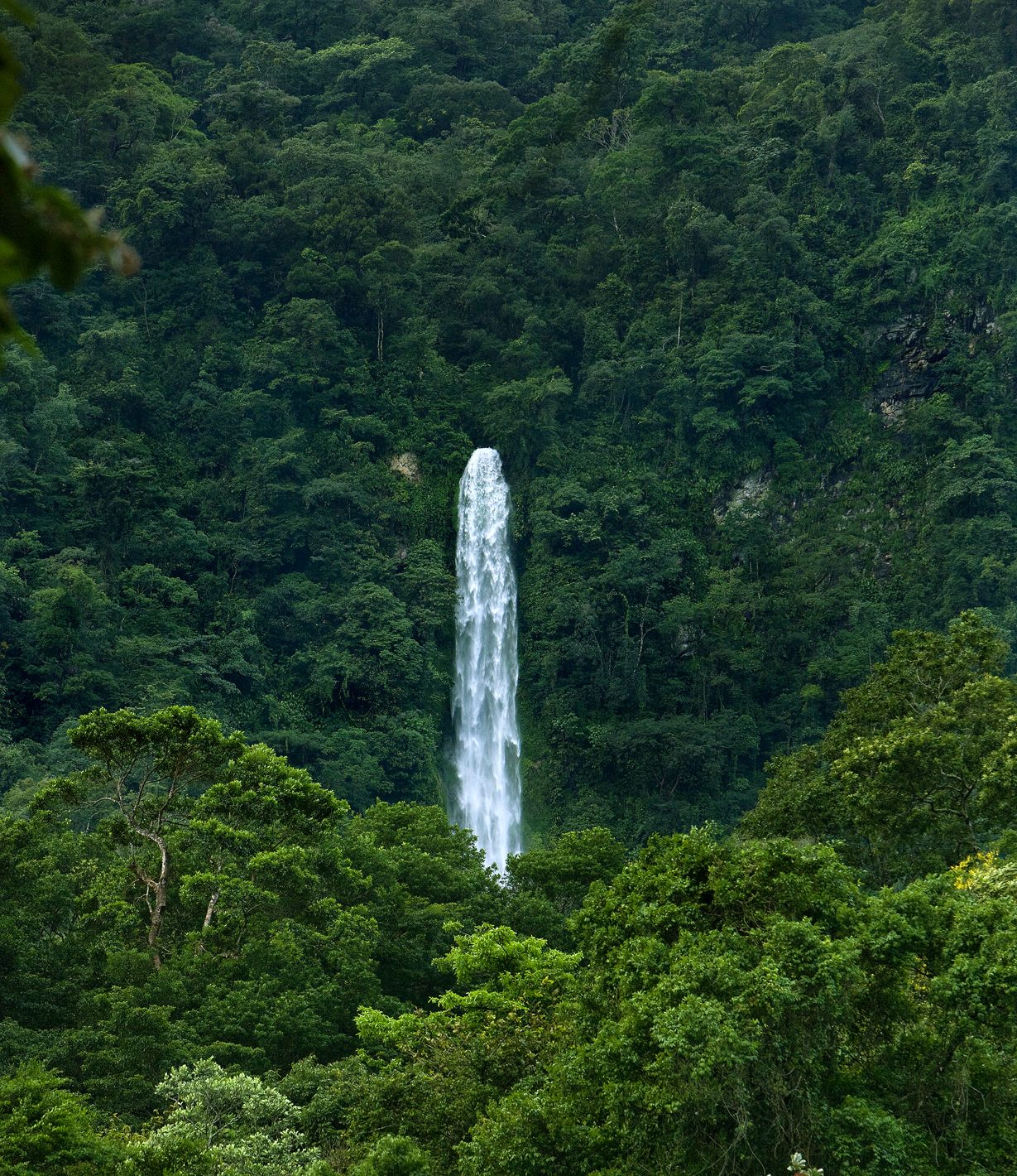 Pico Bonito Waterfall