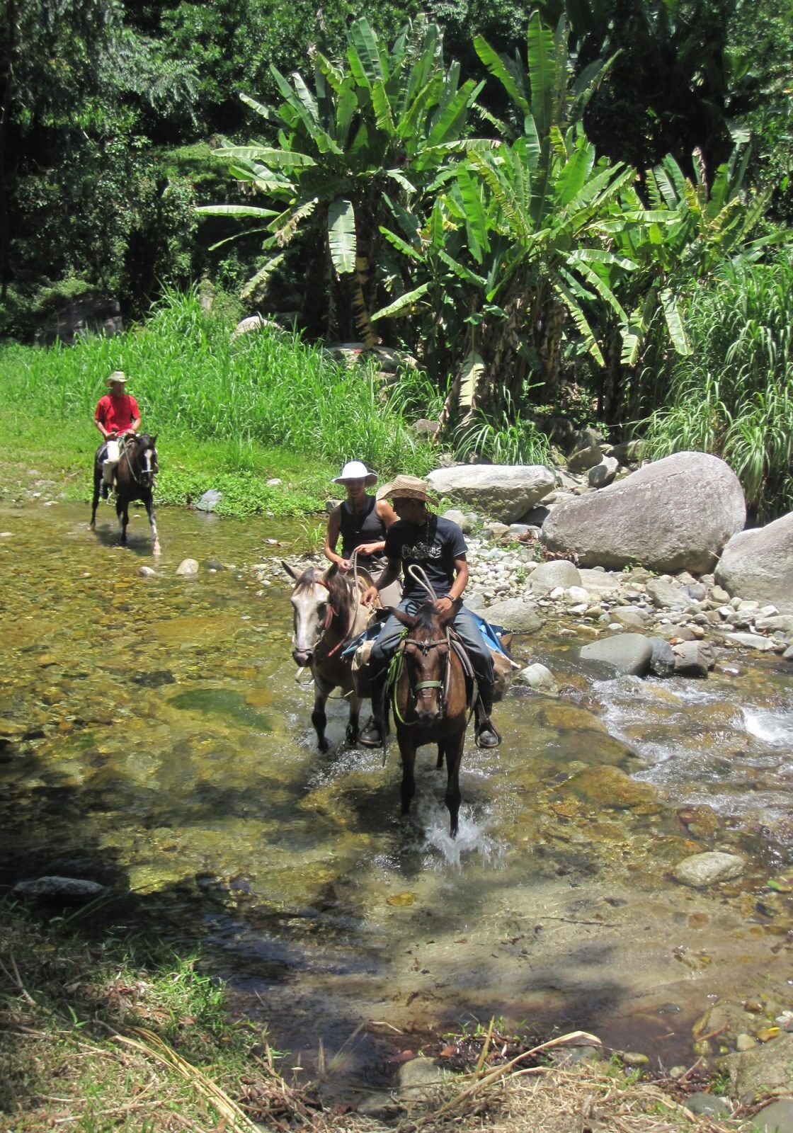 Horseback Riding in the Cangrejal Valley